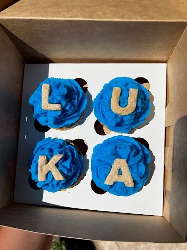 Cupcakes especiales para mascotas con decoración segura y saludable
