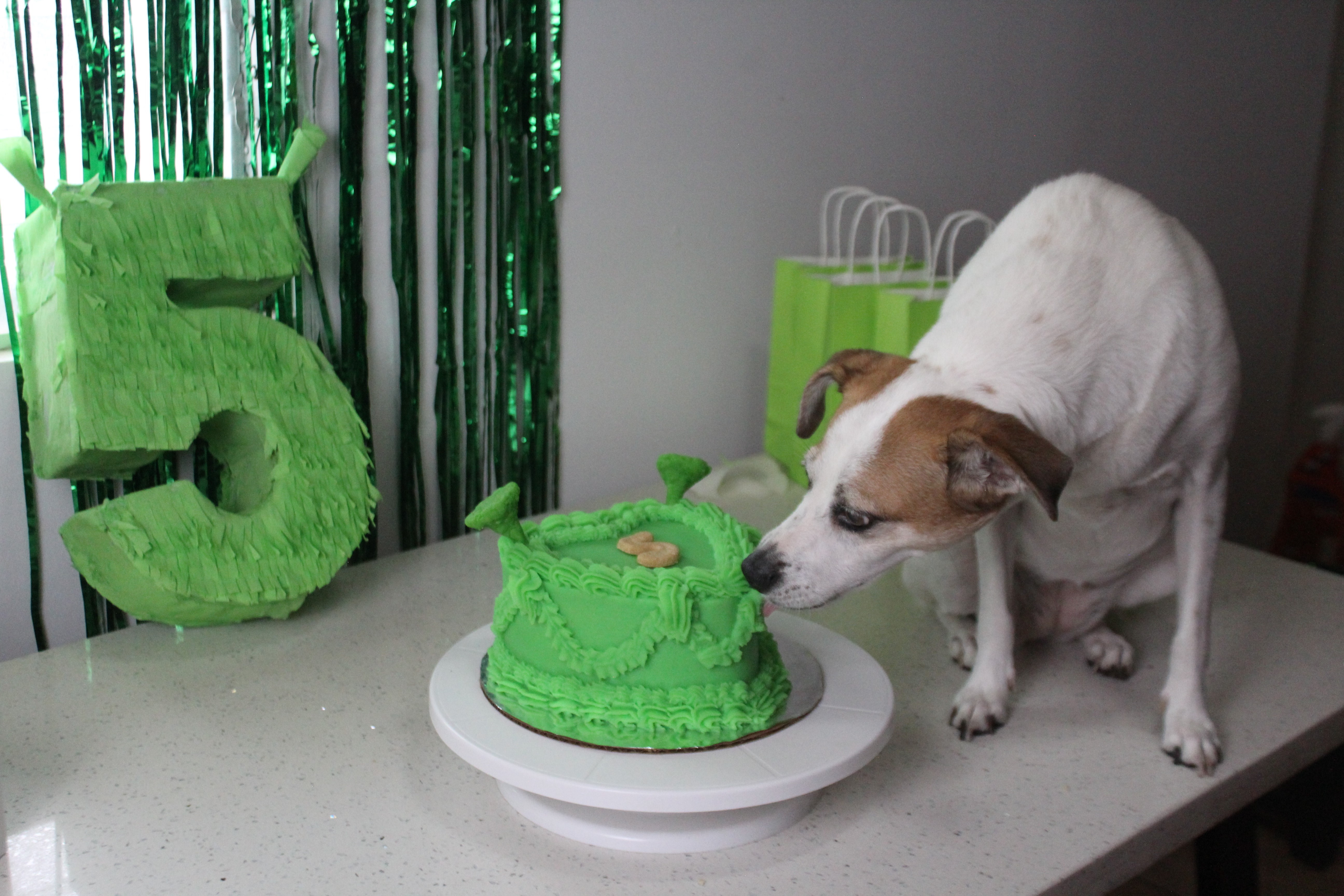 Cajipets - Deliciosos queques y snacks para mascotas hechos con amor